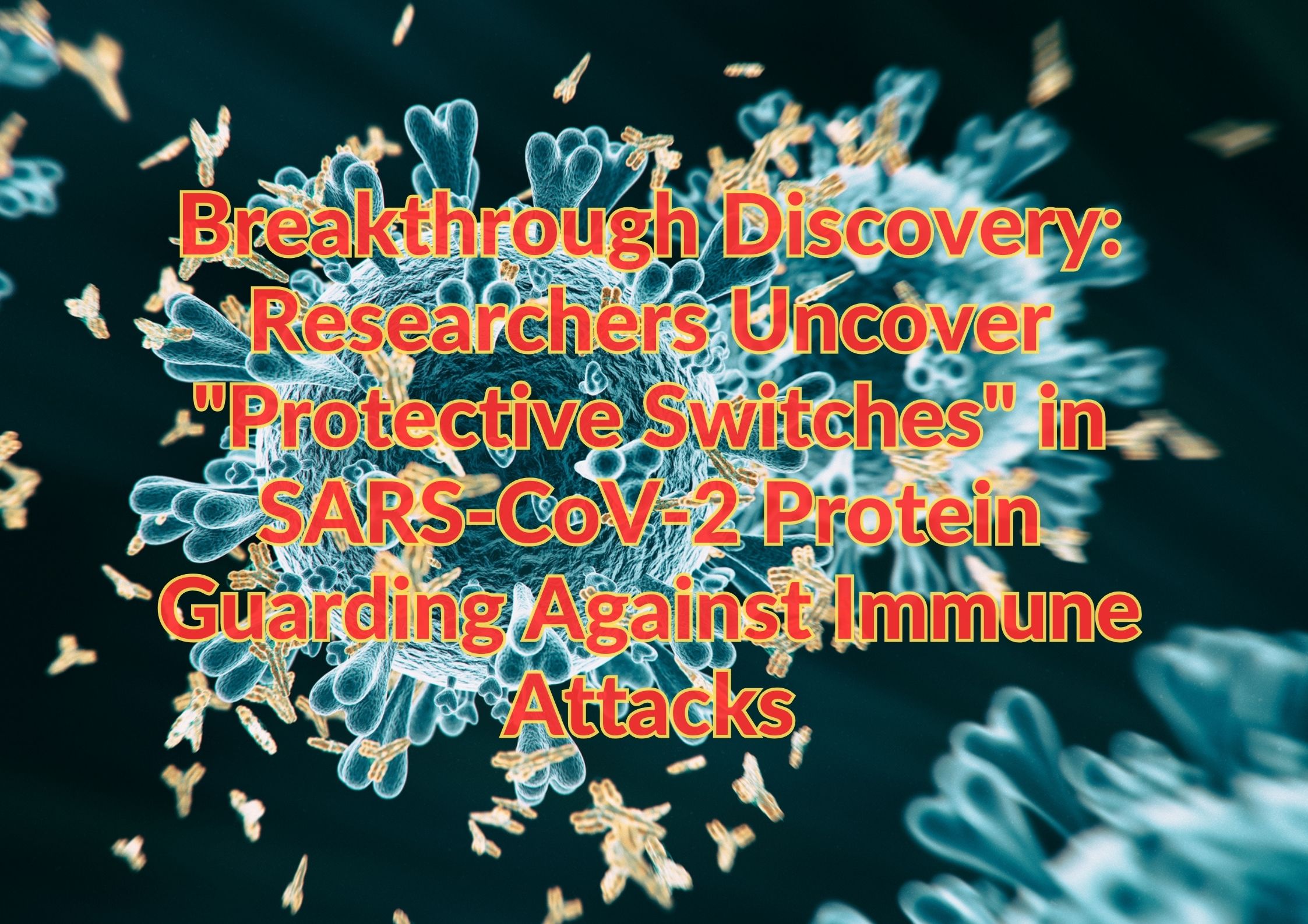 Breakthrough Discovery: Researchers Uncover "Protective Switches" in SARS-CoV-2 Protein Guarding Against Immune Attacks